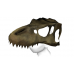 Prehistoric Valley T-Rex Skull Hat (for Female)